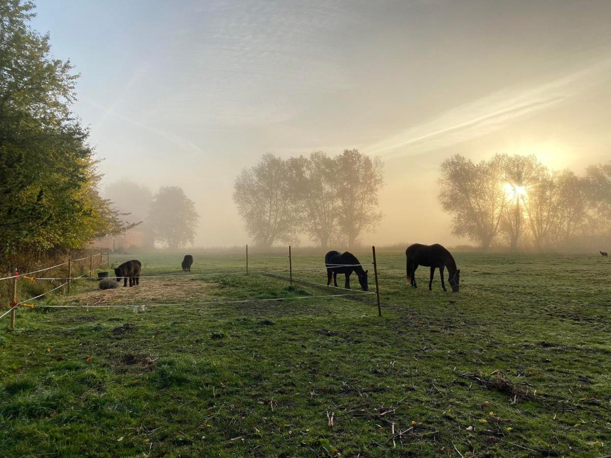 Rosenlund Gods - Kaelder B&B Sakskøbing Esterno foto