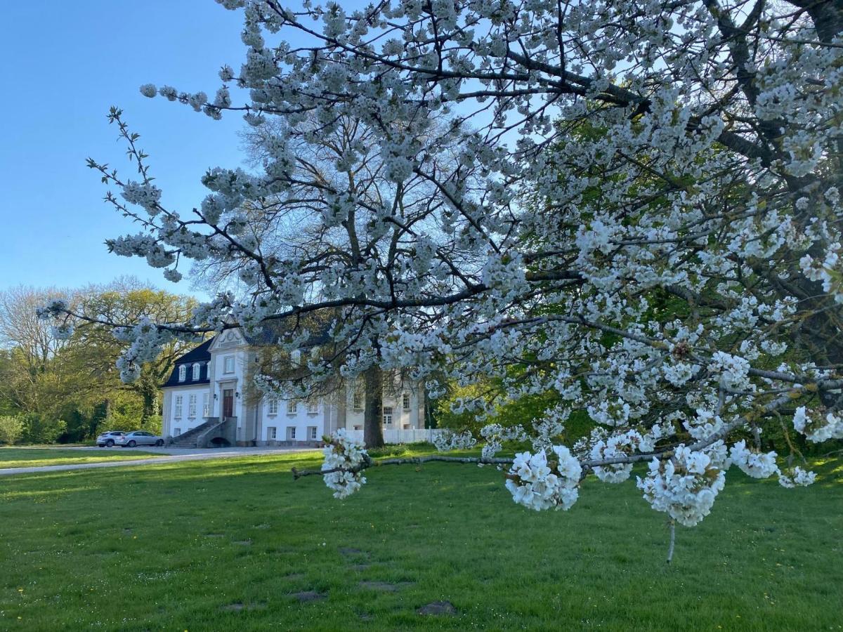 Rosenlund Gods - Kaelder B&B Sakskøbing Esterno foto