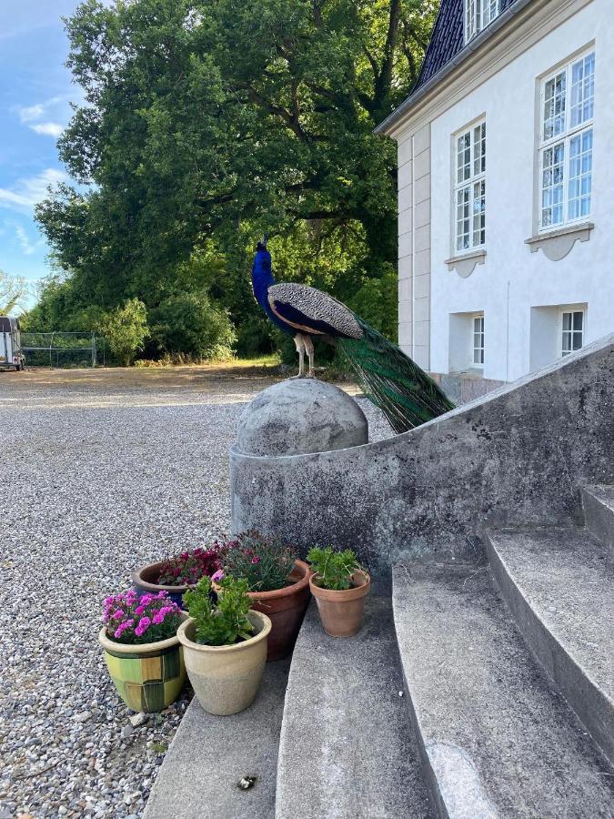 Rosenlund Gods - Kaelder B&B Sakskøbing Esterno foto